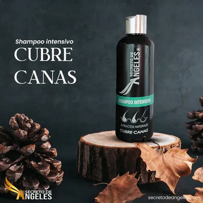 Shampoo Cubre Canas + 2 Obsequios GRATIS