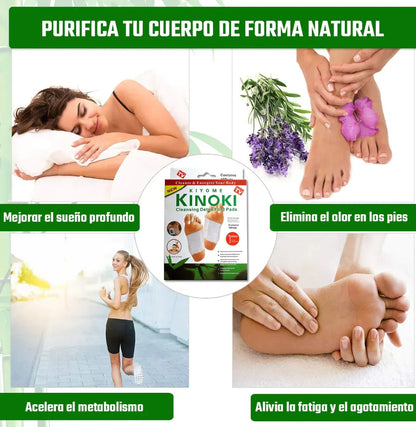 PARCHES DESINTOXICANTES KINOKI